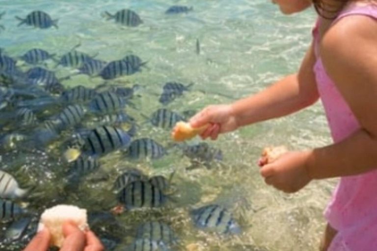 Vanuatu: Hideaway Island Escape and Coffee Roastery Visit