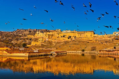 Delhi: Day Tour Jaipur Amber Fort With City Palace Transfer From Jaipur: Only Guide Service