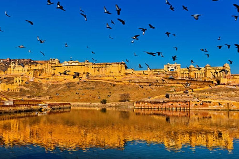 Delhi: Day Tour Jaipur Amber Fort With City Palace Transfer From Jaipur: Only Guide Service