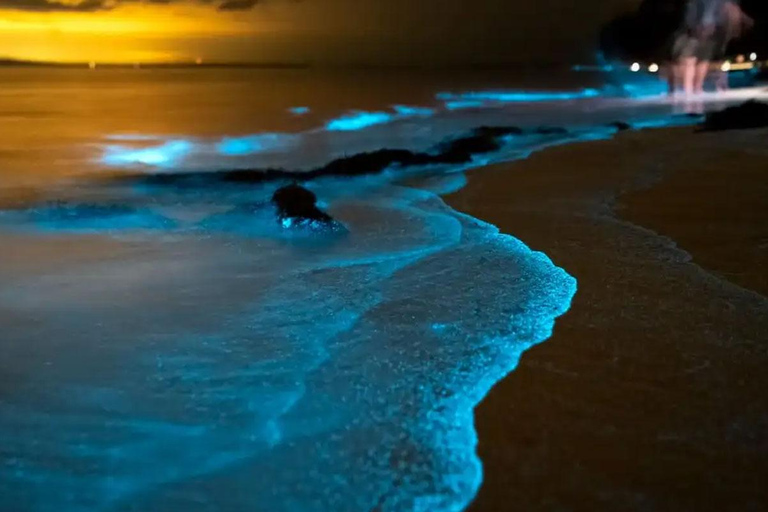 普吉岛：黄昏海上独木舟之旅与发光浮游生物