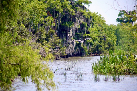 New Orleans: Swamp Tour on Covered Pontoon Boat Covered Swamp Tour with Transportation