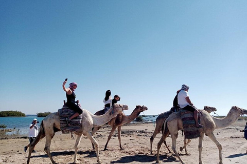 Sharm El Sheikh:ATV Mega Safari Parasailing Glazen boot Lunch