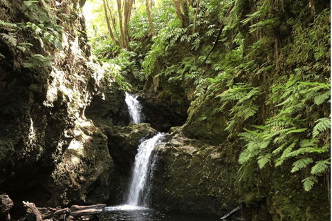 Ribeira dos Caldeirões: Tour guiado de Canyoning com equipamento