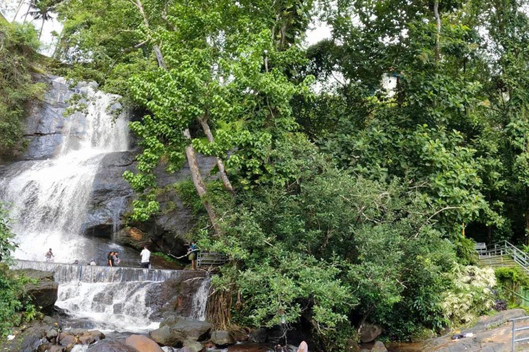 Kochi: Höhlen, Wasserfälle und Aussichtspunkt – TagestourTagestour in der Natur von Kochi: Höhlen, Wasserfälle und Aussichtspunkt