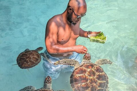 Zanzibar: Jozani Forest & Salaam Cave Sea Turtles Swim Tour Option Without Hotel Transfers