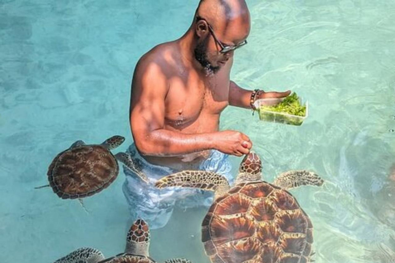 Zanzibar: Jozani Forest & Salaam Cave Sea Turtles Swim Tour Option Without Hotel Transfers