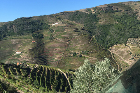 Porto to Douro Valley Private tour in a 4x4 like a native Privat tour Offroad Douro Valley
