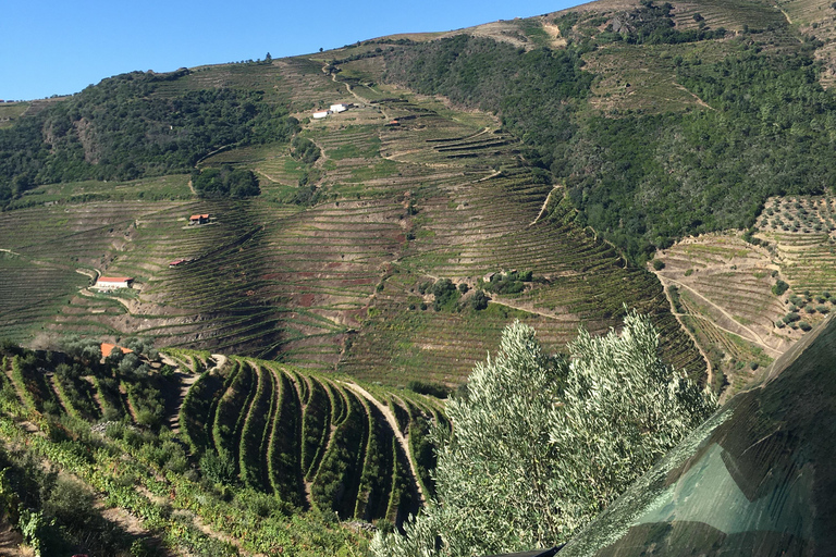 Porto to Douro Valley Private tour in a 4x4 like a native Privat tour Offroad Douro Valley