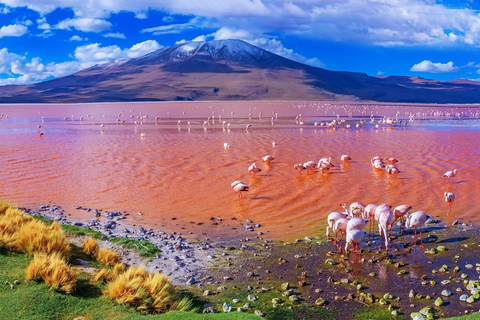 De La Paz à Atacama : Circuit de 4 jours dans les salines d&#039;Uyuni