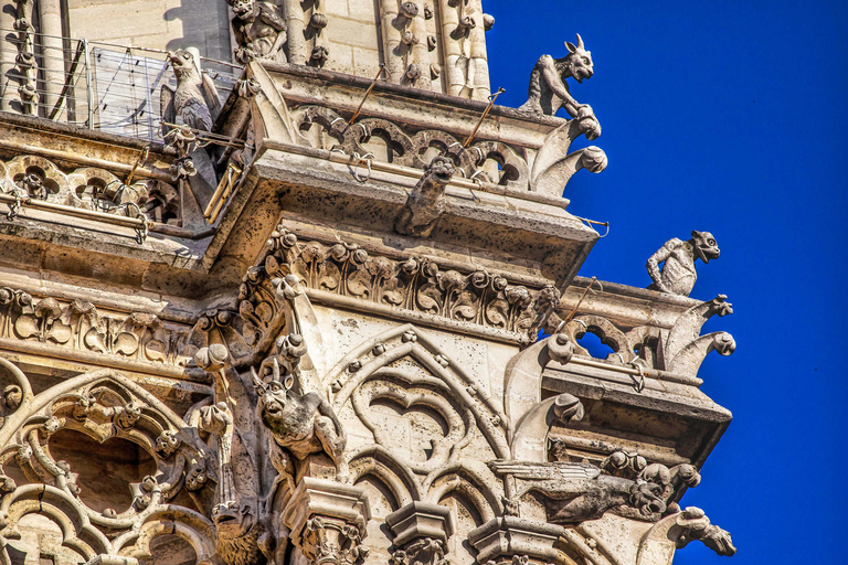 Paris: Notre-Dame Audio Guide + Archaeological Crypt Option Paris: Archaeological Crypt Ticket + Notre-Dame Audio Tour