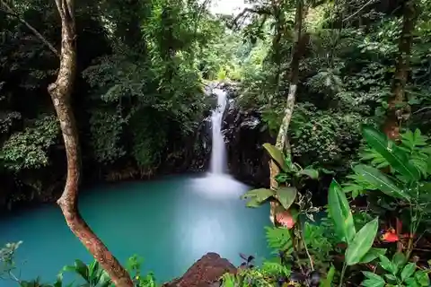 Bali: Top Highlights Excursão particular de 1 dia a partir do hotel