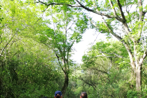Monterrey : Profitez d&#039;une eau rafraîchissante en traversant le Cerro Agujerado.