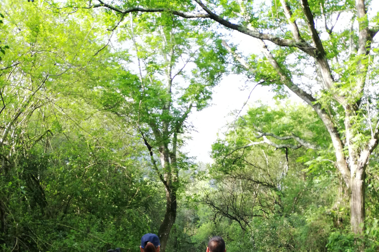 Monterrey : Profitez d&#039;une eau rafraîchissante en traversant le Cerro Agujerado.