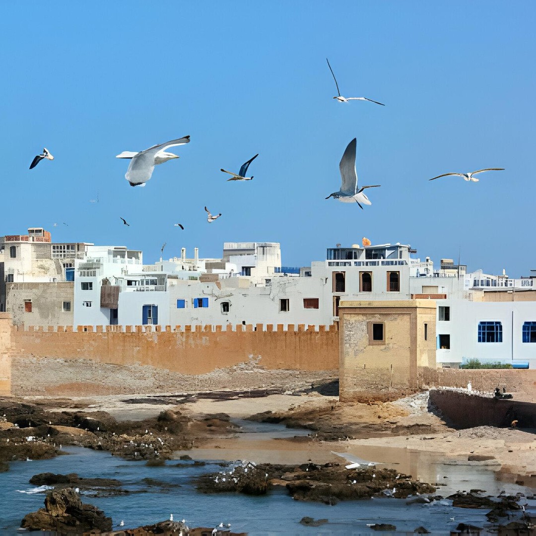 Au départ de Marrakech : Excursion d'une journée à Essaouira