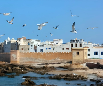 From Marrakech : Full Day Trip to Essaouira