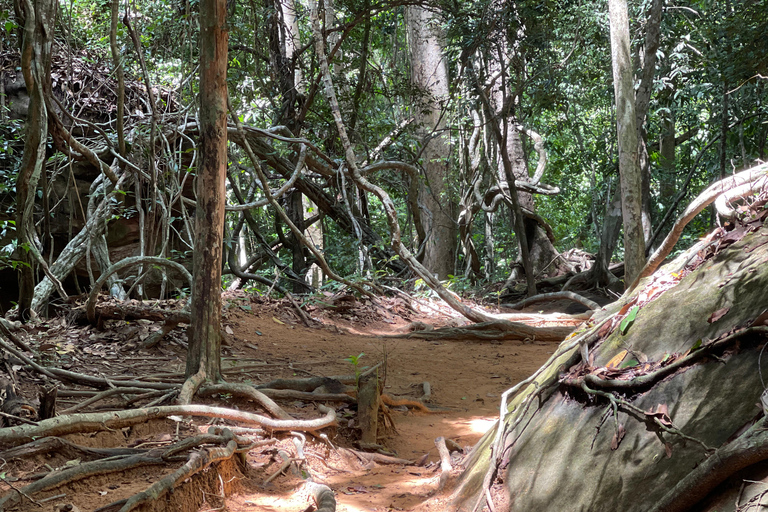 Ukryte klejnoty Kambodży: Kbal Spean i świątynia Banteay Srei