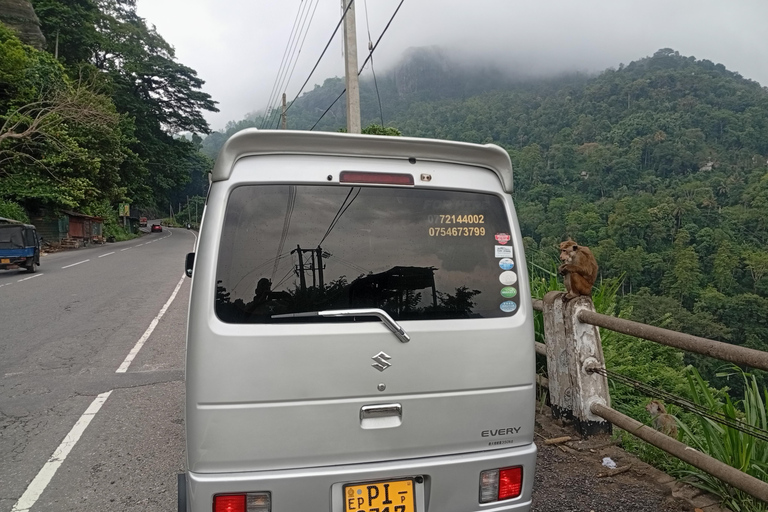 Kandy: Sigiriya or Pidurangala & Dambulla Day Tour by Van