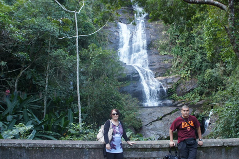 Wonderen der natuur: Jardim Botânico &amp; Tijuca Bos in Rio