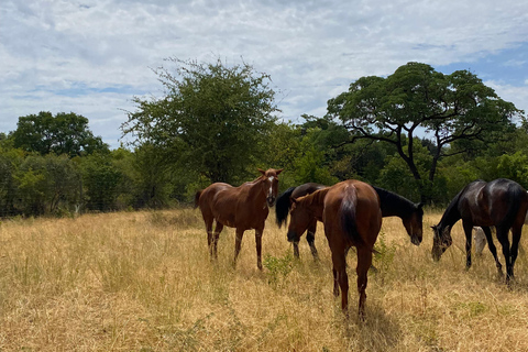 Victoria Falls: African Village Community Tour on Horseback