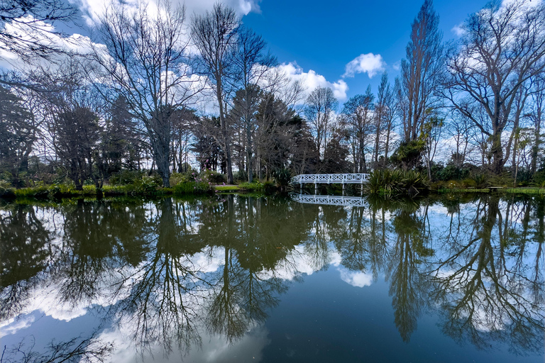 Wellington: Secret Realms of Middle-earth - Lothlorien