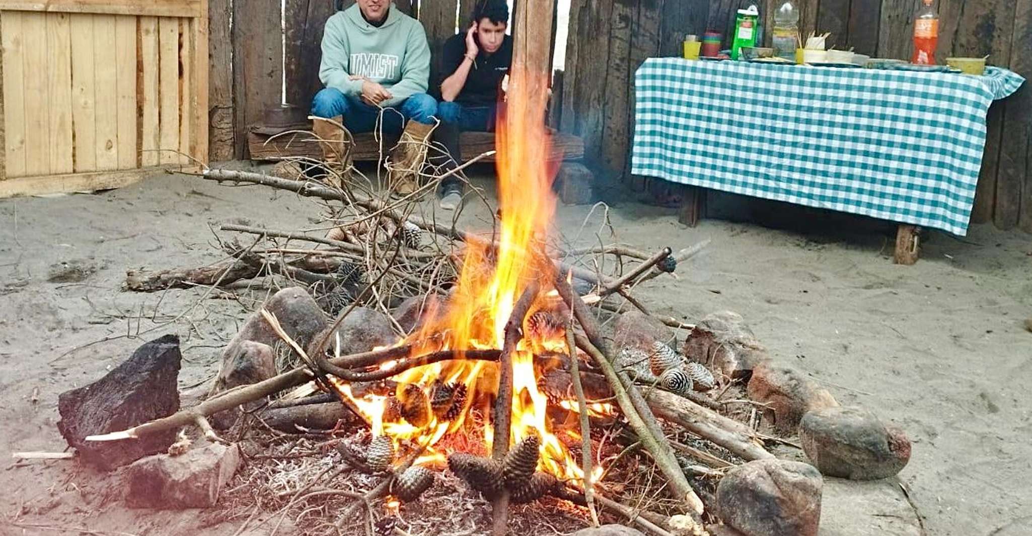 骑马、企鹅、Winery、Alpacas和牛仔BBQ - Hizvo