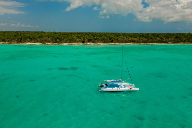 Snorkelen op Catalina eiland met eten en drinken (Hele dag)