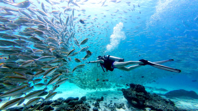 Phuket: Racha Yai & Racha Noi Island Diving Day Trip