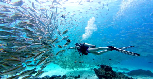 Phuket: Racha Yai & Racha Noi Islands Diving Day Trip