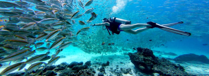 Phuket : excursion de plongée aux îles Racha Yai et Racha Noi