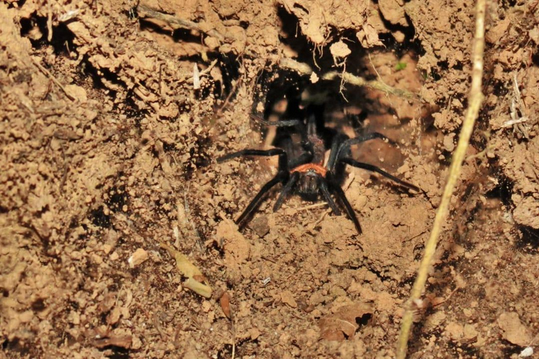 LA PAZ: TUR 3 DAGAR 2 NÄTTER RURRENABAQUE_MADIDI SELVALA PAZ: RUNDTUR 3 DAGAR 2 NÄTTER RURRENABAQUE_MADIDI SELVA