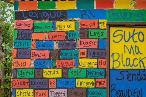 From Cartagena: Palenque tour African roots with local guide