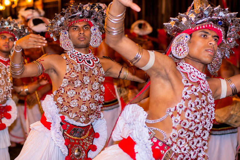 Kandy: Elephant Village Experience & Kandyan Dance Tour Kandy: Private Guided City Tour by Tuk-Tuk