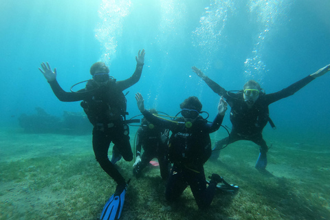 Aqaba: Guided Red Sea Boat Diving Experience with Lunch
