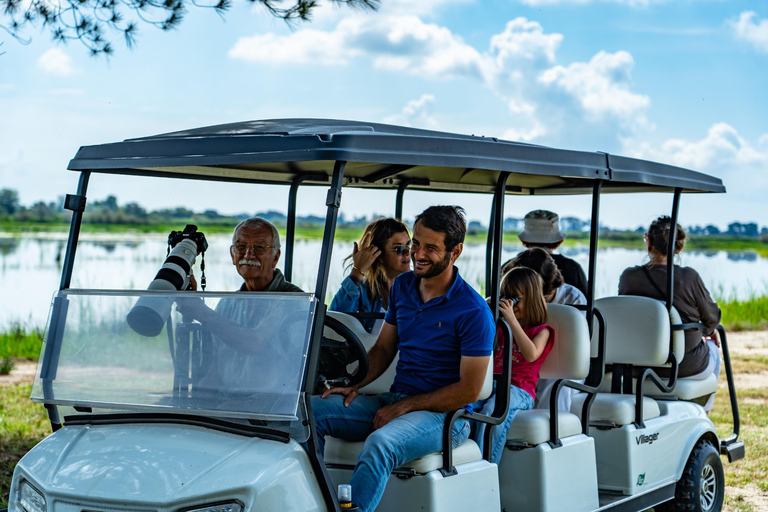 Camargue: Electric Safari with Guide in a private reserve