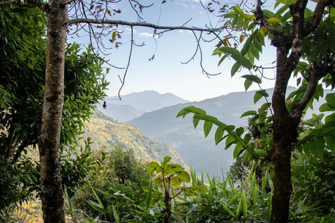 Galle: Kanneliya Rainforest , Jungle Beach & Craft Tour