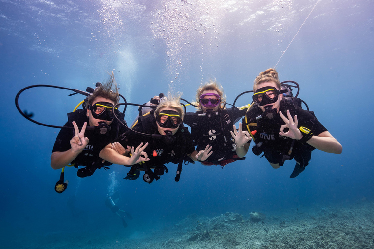 Gili Trawangan: Dykning med Discovery Scuba Diving