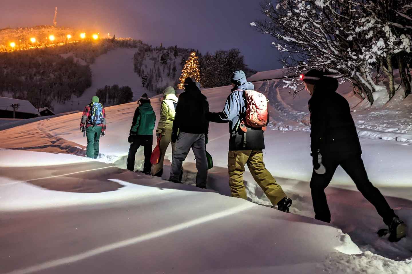 Geilo: Evening family tour with sledge, campfire and fun!