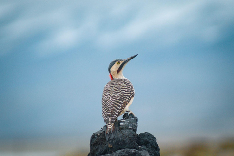 Mountain Escape: Discover Salinas & Aguada Blanca in One Day