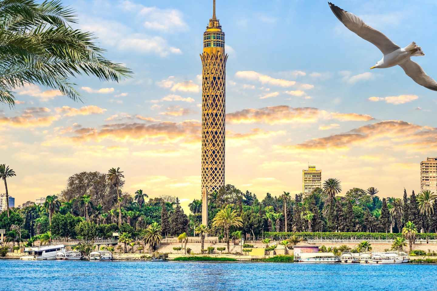 Cairo: Sunset Cairo Tower Tour With Nile River Dinner Cruise - Private Tour With Cairo Tower & Dinner Cruise Tickets