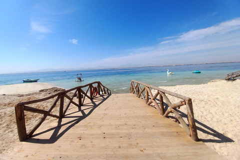 Hurghada: Golfinhos, snorkeling e passeio de iate à ilha de Magawish