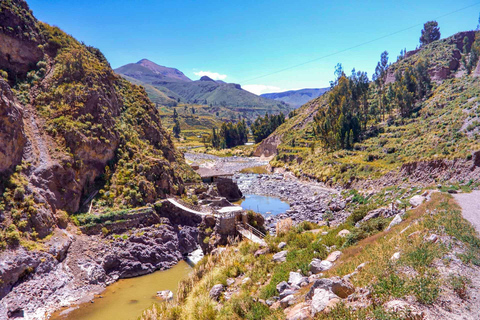 Au départ d'Arequipa : randonnée de deux jours dans le canyon du ColcaDepuis Arequipa : Randonnée de deux jours dans le canyon de Colca