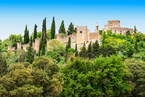 从里斯本出发：圣殿骑士路线 - 阿尔穆罗尔、托马尔和基督修道院独家私人之旅