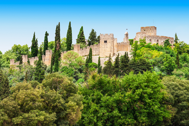 从里斯本出发：圣殿骑士路线 - 阿尔穆罗尔、托马尔和基督修道院独家私人之旅