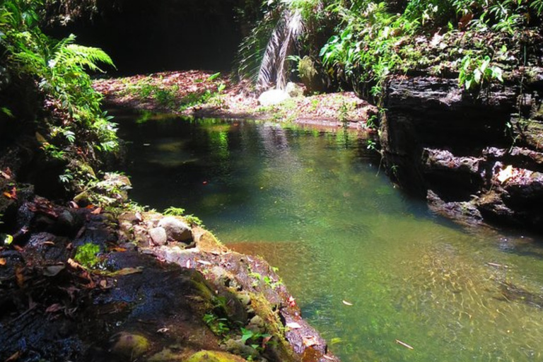 مانيلا: جولة ليوم واحد في هيدين فالي سبرينغز مع وجبة غداء