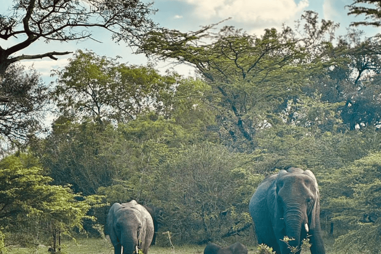 De Zanzibar: Pernoite no Selous G.R. Safári com vôossafári compartilhado