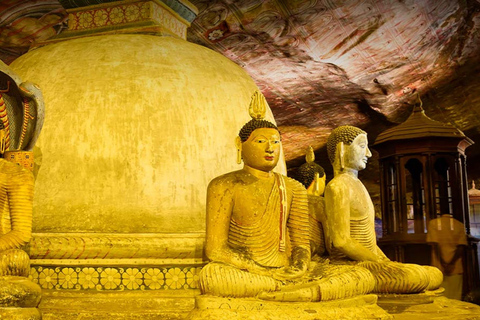 Ella: Sigiriya Rock, Dambulla Temple & Village Safari