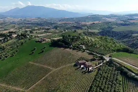 Marche: unique visit and tasting at D'Erasmo Winery among signature wines
