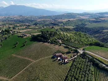 Marche: unique visit and tasting at D'Erasmo Winery among signature wines
