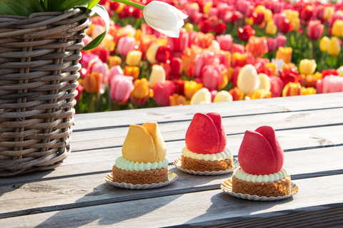 Tulip Experience and Tulip Fields Tour from Amsterdam