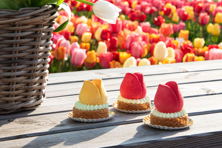 Tulip Experience and Tulip Fields Tour from Amsterdam